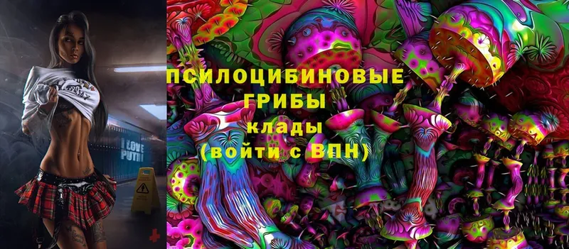 Галлюциногенные грибы MAGIC MUSHROOMS  как найти закладки  KRAKEN как зайти  Анива 